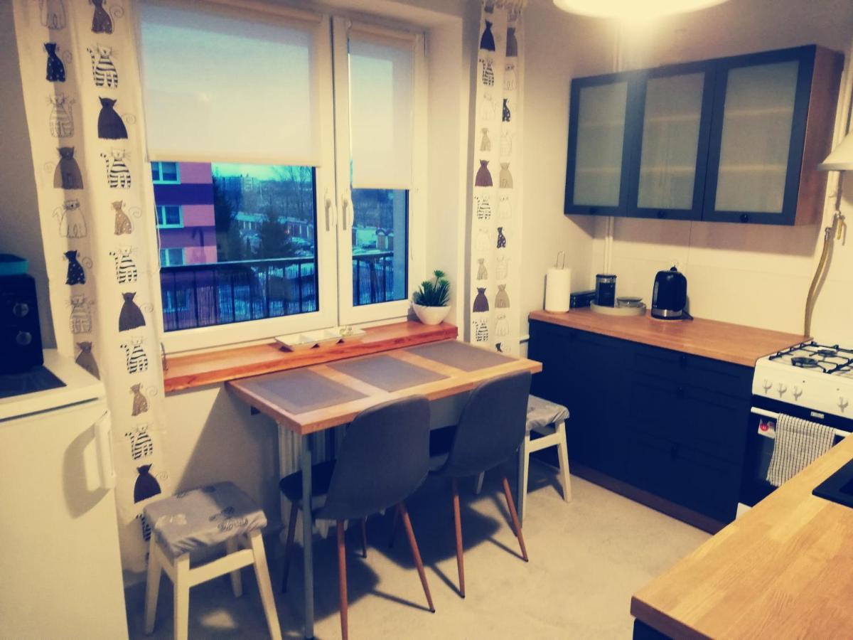 Kaktusik Apartment Suwalki Bagian luar foto