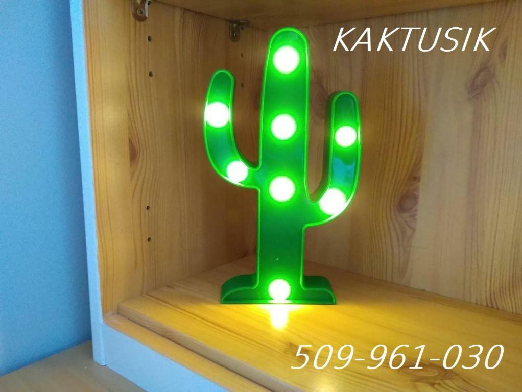 Kaktusik Apartment Suwalki Bagian luar foto
